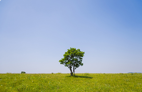 完善制度，规范流程，严格履行信息披露义务