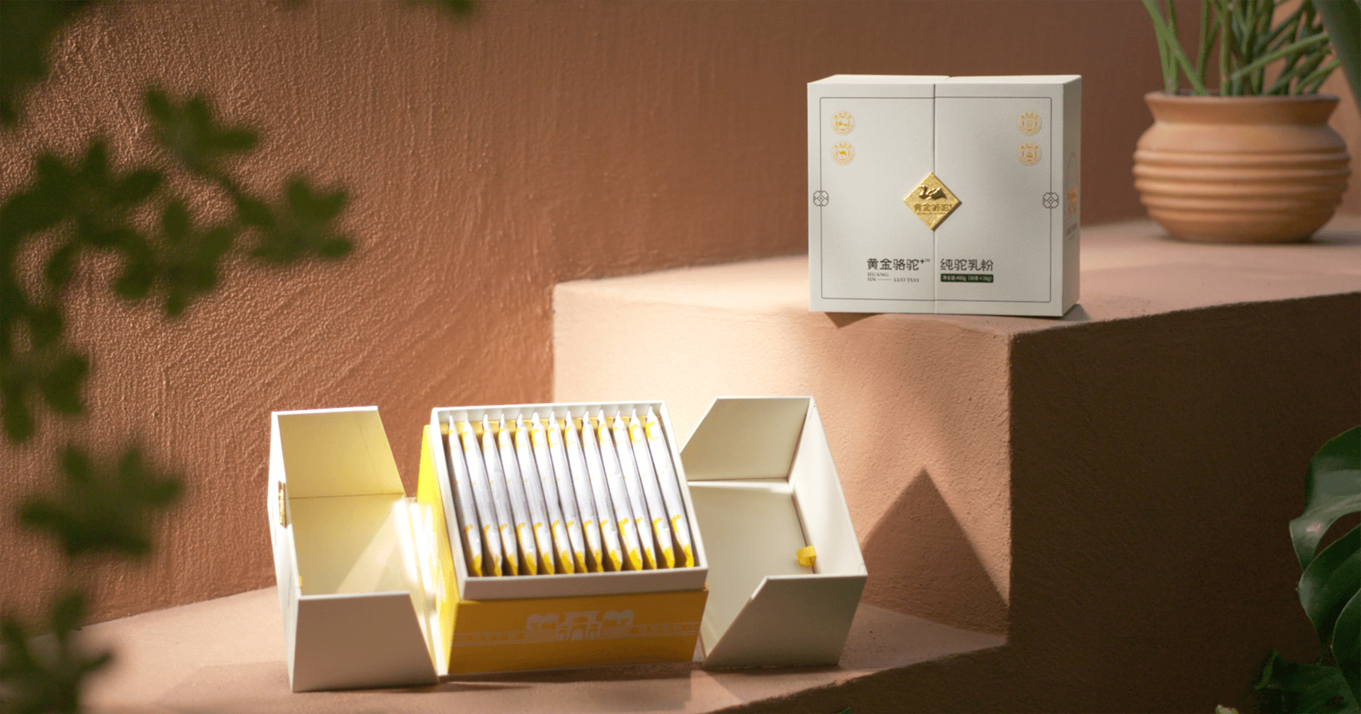 定位小众高端乳粉，jinnianhui今年会推出驼奶品牌“黄金骆驼+”，角逐乳品新市场！